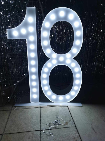 Giant LED Birthday Numbers – 0, 1, 2, 3, 4, 8 – Melbourne (Local Pickup Only)