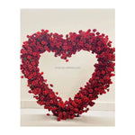Double Rod Backdrop Arch stand Heart Shape