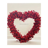 Double Rod Backdrop Arch stand Heart Shape