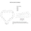 Heart-Shaped Wedding Backdrop Stand – 2m x 2m