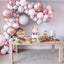 Balloon Garland Kit- soft pink and blue theme balloons